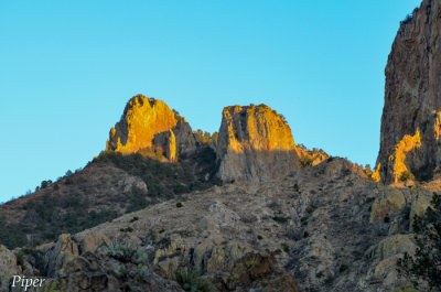DSC_0026.jpg