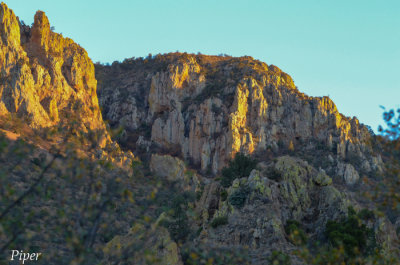 DSC_0028.jpg