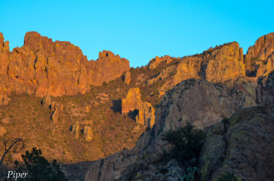DSC_0039.jpg