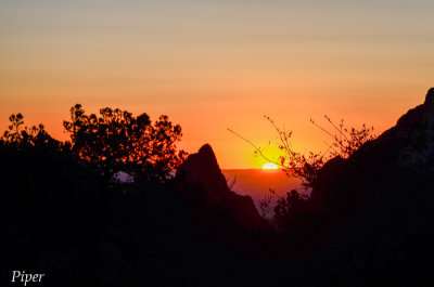 DSC_0052.jpg