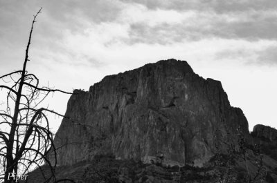 DSC_0094.jpg