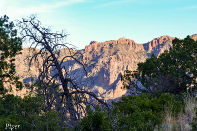 DSC_0109.jpg