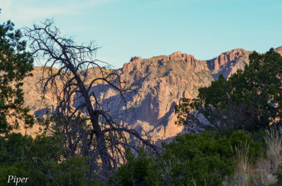 DSC_0114.jpg