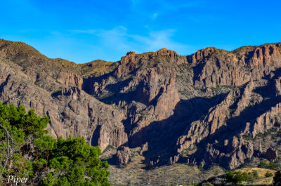 DSC_0140.jpg
