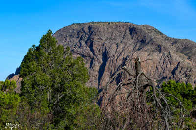 DSC_0142.jpg