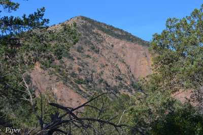 DSC_0147.jpg