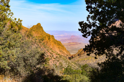 DSC_0149.jpg