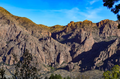 DSC_0150.jpg