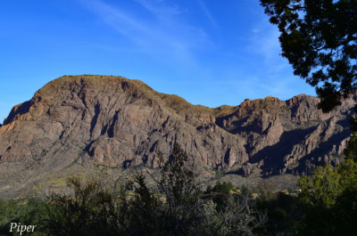 DSC_0151.jpg