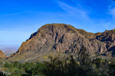 DSC_0152.jpg