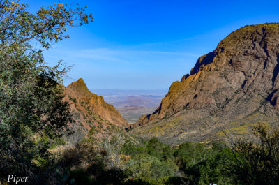 DSC_0153.jpg
