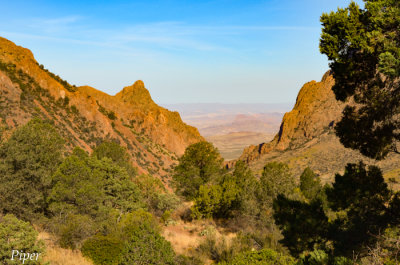 DSC_0161.jpg