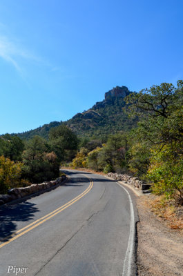 DSC_0228.jpg