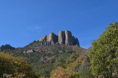 DSC_0229.jpg