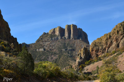 DSC_0238.jpg