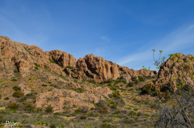DSC_0248.jpg