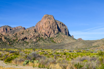 DSC_0252.jpg