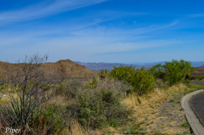 DSC_0256.jpg