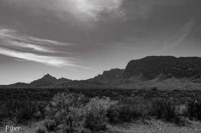 DSC_0266.jpg
