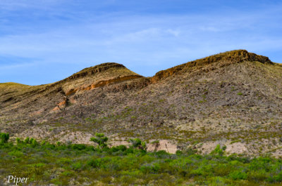 DSC_0272.jpg