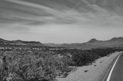 DSC_0283.jpg