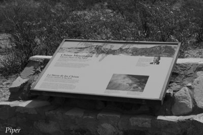 DSC_0285.jpg