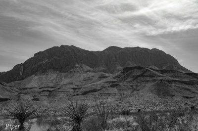 DSC_0289.jpg