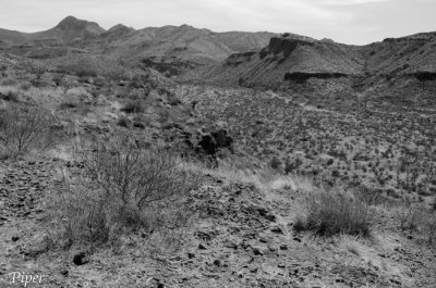 DSC_0309.jpg
