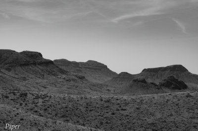 DSC_0322.jpg