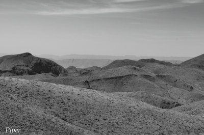 DSC_0323.jpg