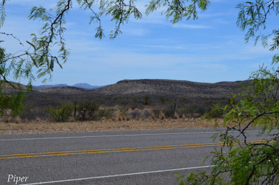 DSC_0365.jpg