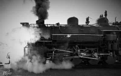 DSC_0899 (3).jpg
