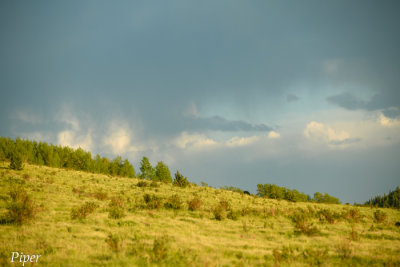 Colorado