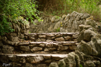 Sunken Gardens