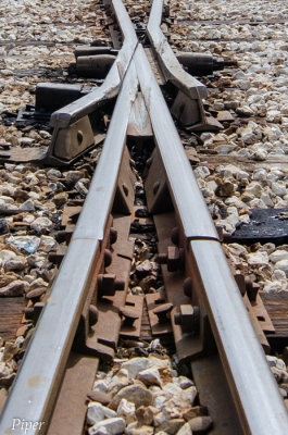 Texas State Railroad-0198.jpg