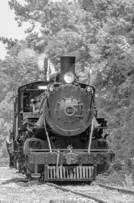 Texas State Railroad-0283.jpg