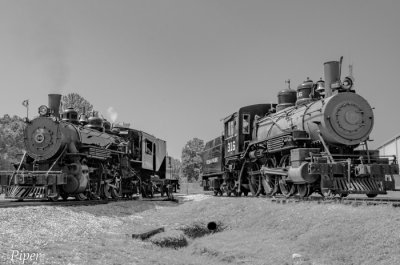 Texas State Railroad-0467.jpg