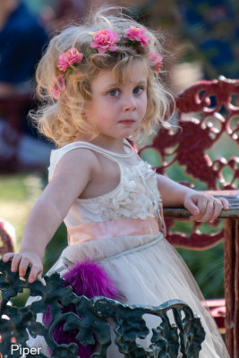 Texas Renaissance Festival Wk5 D2 11/01/2020