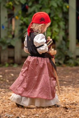 Texas Renaissance Festival Wk9 D3 11/28/2020