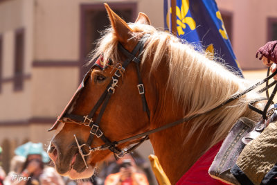 g12/28/1472428/3/171548933.ZPZeUOG2.jpg