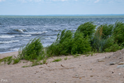 Ohio