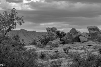 Arizona