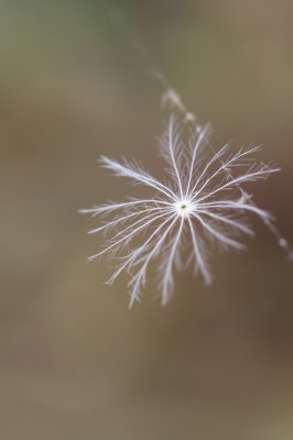 g12/28/186028/3/172921574.wAApzRRH.jpg