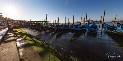 Morning Gondolas - Venezia 2019 - 1174