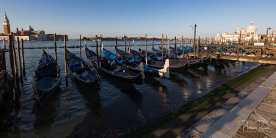 Les gondoles dorment encore - Venezia 2019 - 1199