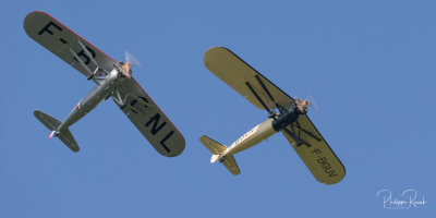 Morane-Saulnier MS315&317 - La Ferté-Alais 2019 - 9701