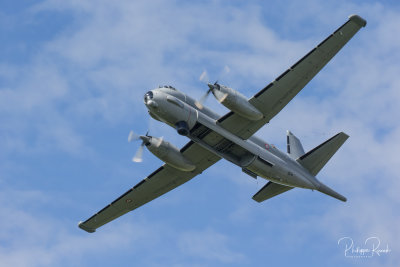 La Ferté-Alais 2019 - Atlantic 2 - 1106