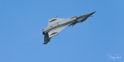 La Ferté-Alais 2019 - Rafale dos - 0482