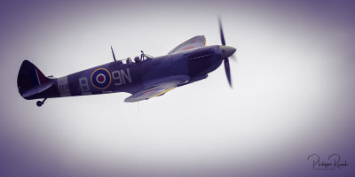 La Ferté-Alais 2019 - Sptifire - 9816