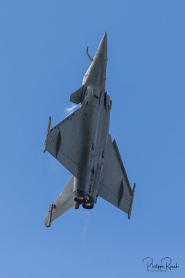 La Ferté-Alais 2019 - Rafale Solo Display - 0538